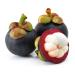 Mangosteen