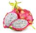 Pitahaya