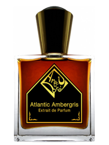 Areej Le Doré Atlantic Ambergris