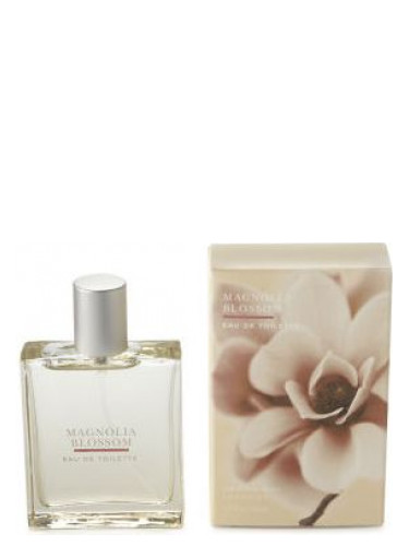 Bath and Body Works Magnolia Blossom