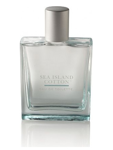 Bath and Body Works Sea Island Cotton