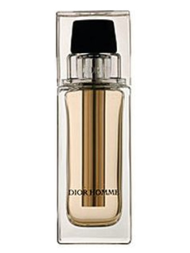 Christian Dior Dior Homme Voyage