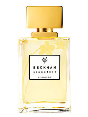 David Beckham Signature Summer for Her