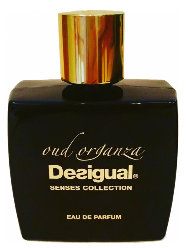 Desigual Oud Organza