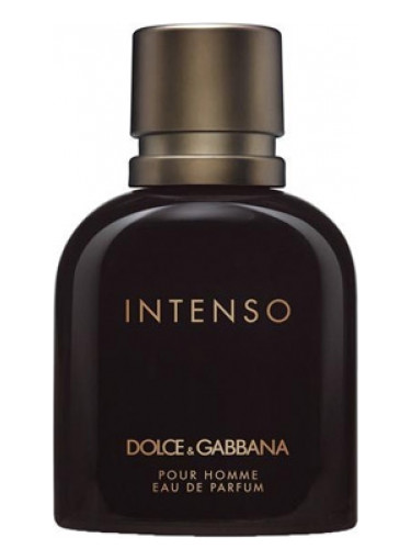 Dolce&Gabbana Dolce&Gabbana Pour Homme Intenso