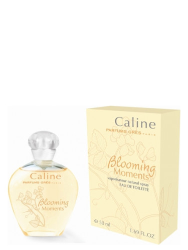 Gres Caline Blooming Moments