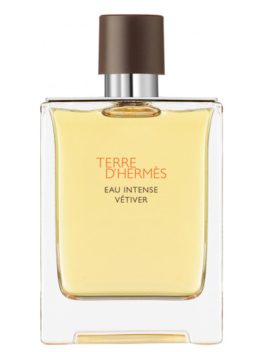 Hermès Terre D'Hermes Eau Intense Vetiver