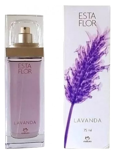 Natura Esta Flor Lavanda