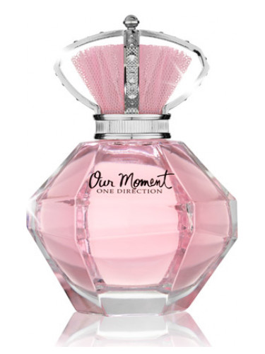 One Direction Our Moment