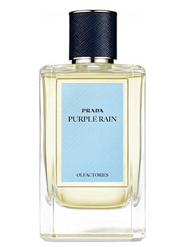 Prada Purple Rain