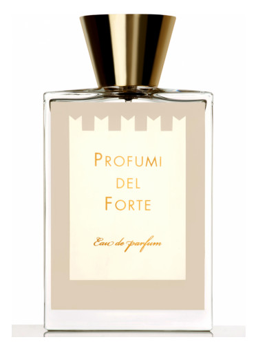 Profumi del Forte Vetiver Moderno