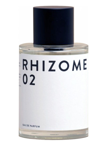 Rhizome Rhizome 02