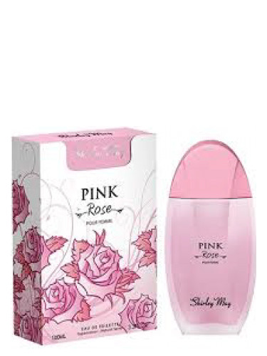 Shirley May Pink Rose