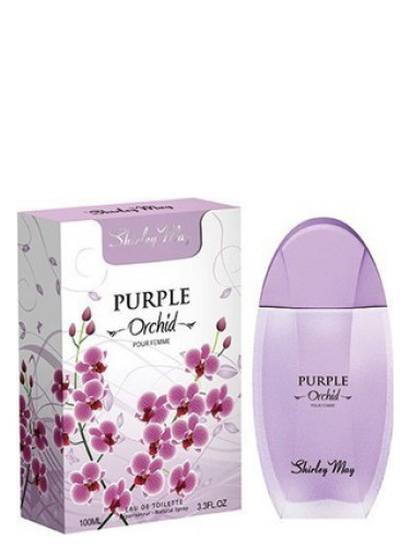 Shirley May Purple Orchid