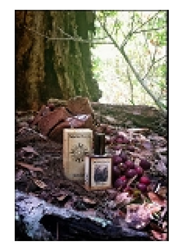 Solstice Scents Black Forest