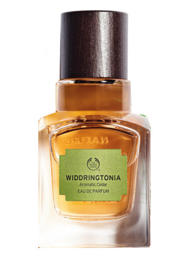 The Body Shop Widdringtonia