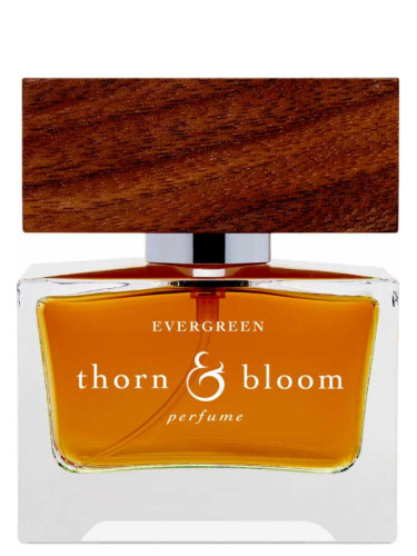 Thorn & Bloom Evergreen