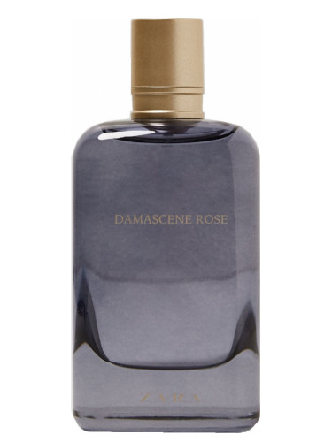 Zara Damascene Rose