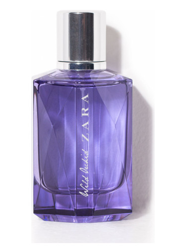 Zara Wild Orchid